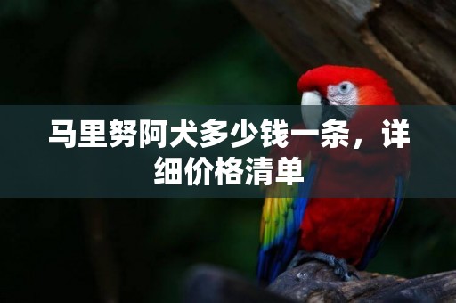馬里努阿犬多少錢一條，詳細價格清單