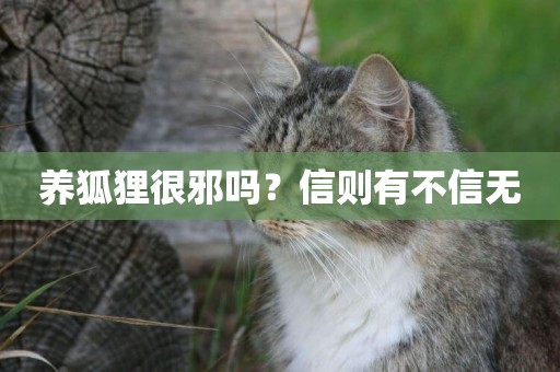 養狐貍很邪嗎？信則有不信無