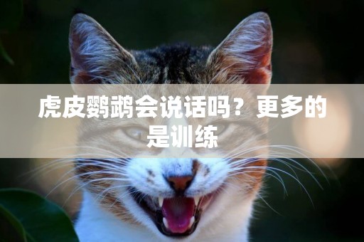 虎皮鸚鵡會說話嗎？更多的是訓練