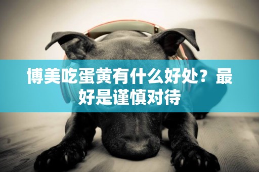 博美吃蛋黃有什么好處？最好是謹慎對待