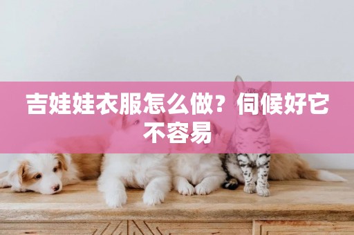 吉娃娃衣服怎么做？伺候好它不容易