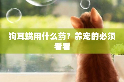 狗耳螨用什么藥？養寵的必須看看
