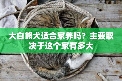 大白熊犬適合家養嗎？主要取決于這個家有多大