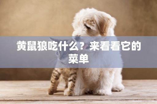 黃鼠狼吃什么？來看看它的菜單