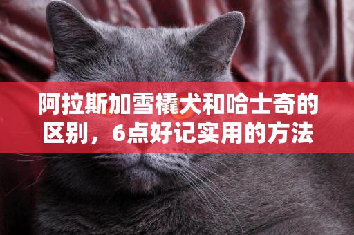 阿拉斯加雪橇犬和哈士奇的區別，6點好記實用的方法