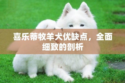 喜樂蒂牧羊犬優缺點，全面細致的剖析