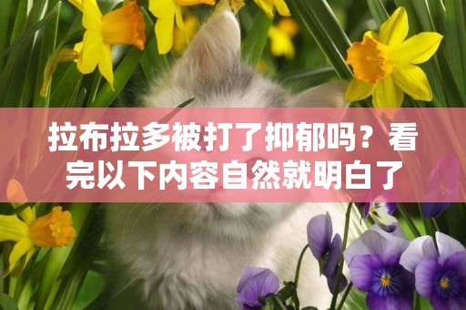 拉布拉多被打了抑郁嗎？看完以下內容自然就明白了