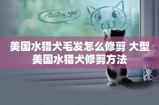 美國水獵犬毛發怎么修剪 大型美國水獵犬修剪方法