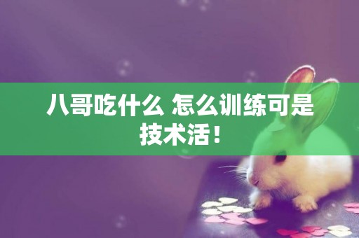 八哥吃什么 怎么訓練可是技術活！