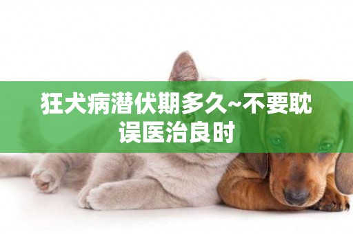 狂犬病潛伏期多久~不要耽誤醫治良時