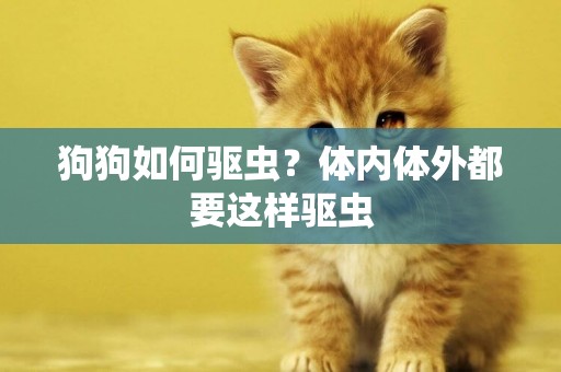 狗狗如何驅蟲？體內體外都要這樣驅蟲