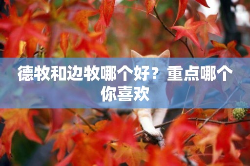 德牧和邊牧哪個好？重點哪個你喜歡
