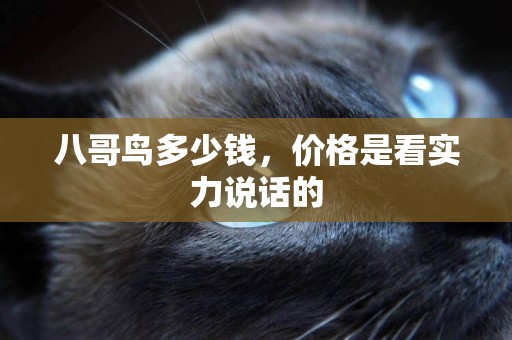 八哥鳥多少錢，價格是看實力說話的