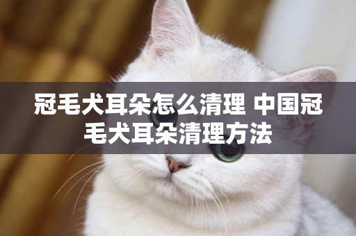 冠毛犬耳朵怎么清理 中國冠毛犬耳朵清理方法