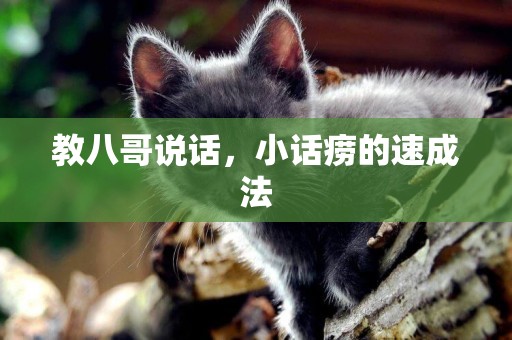 教八哥說話，小話癆的速成法