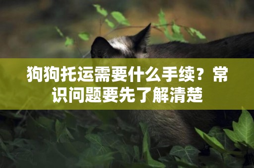 狗狗托運需要什么手續？常識問題要先了解清楚