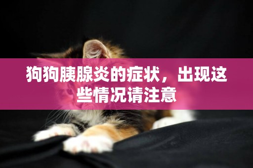 狗狗胰腺炎的癥狀，出現這些情況請注意