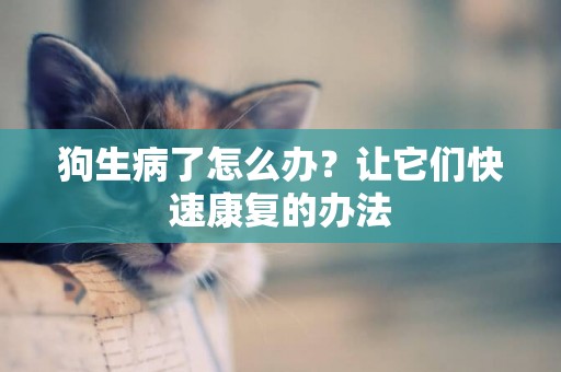 狗生病了怎么辦？讓它們快速康復的辦法
