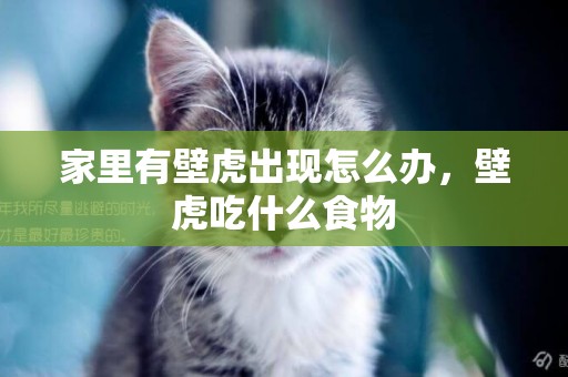 家里有壁虎出現怎么辦，壁虎吃什么食物