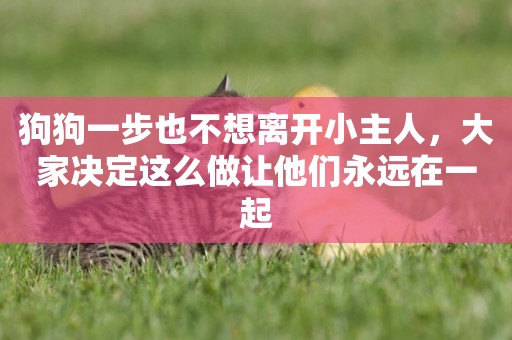 狗狗一步也不想離開小主人，大家決定這么做讓他們永遠在一起