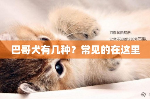 巴哥犬有幾種？常見的在這里