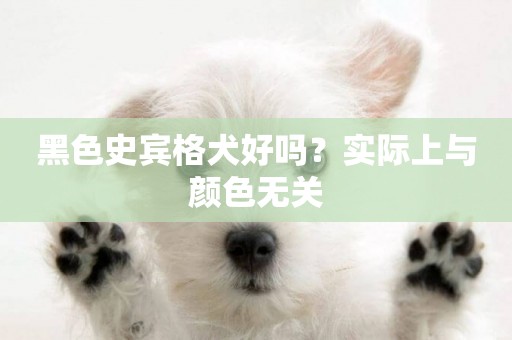 黑色史賓格犬好嗎？實際上與顏色無關