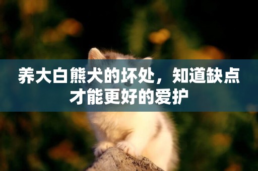 養大白熊犬的壞處，知道缺點才能更好的愛護