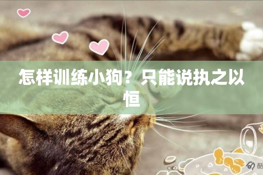 怎樣訓練小狗？只能說執之以恒