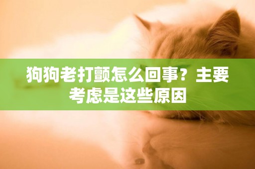 狗狗老打顫怎么回事？主要考慮是這些原因