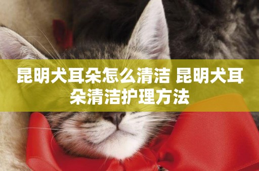 昆明犬耳朵怎么清潔 昆明犬耳朵清潔護理方法