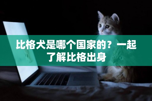 比格犬是哪個國家的？一起了解比格出身