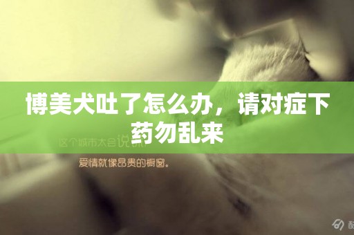 博美犬吐了怎么辦，請對癥下藥勿亂來