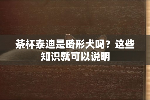 茶杯泰迪是畸形犬嗎？這些知識就可以說明