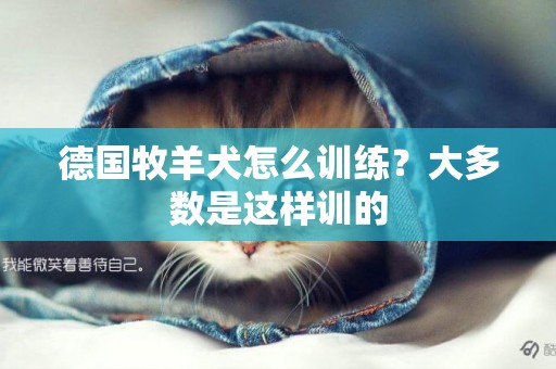 德國牧羊犬怎么訓練？大多數是這樣訓的