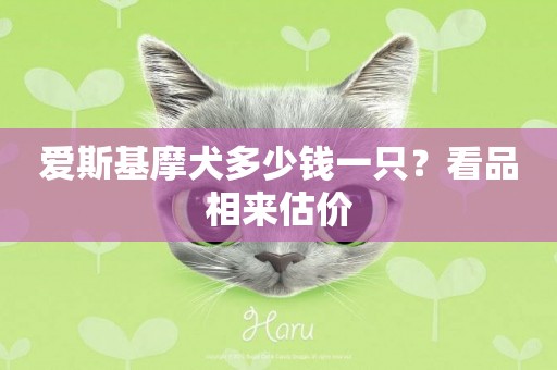 愛斯基摩犬多少錢一只？看品相來估價