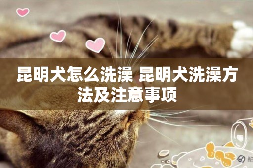 昆明犬怎么洗澡 昆明犬洗澡方法及注意事項