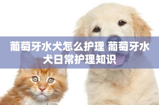 葡萄牙水犬怎么護理 葡萄牙水犬日常護理知識