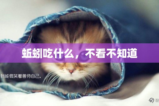 蚯蚓吃什么，不看不知道