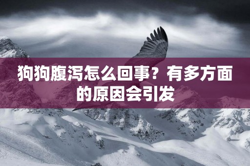 狗狗腹瀉怎么回事？有多方面的原因會引發