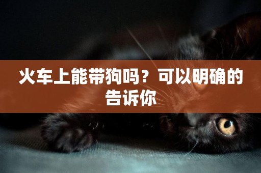 火車上能帶狗嗎？可以明確的告訴你