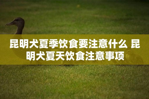 昆明犬夏季飲食要注意什么 昆明犬夏天飲食注意事項
