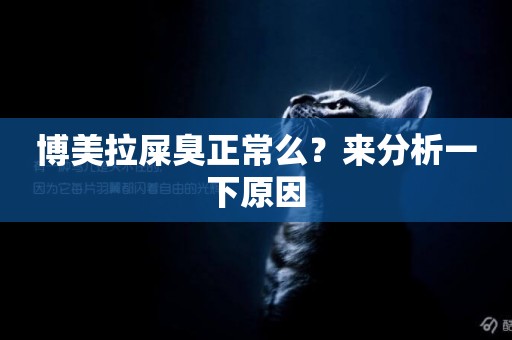 博美拉屎臭正常么？來分析一下原因