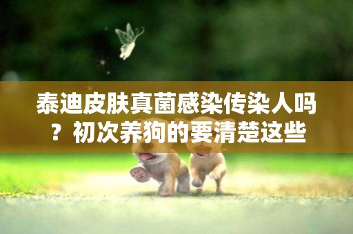 泰迪皮膚真菌感染傳染人嗎？初次養狗的要清楚這些
