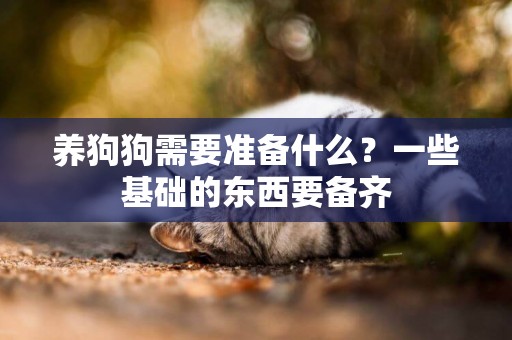 養狗狗需要準備什么？一些基礎的東西要備齊