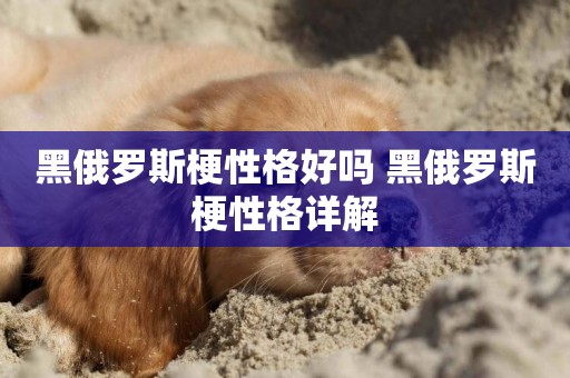 黑俄羅斯梗性格好嗎 黑俄羅斯梗性格詳解