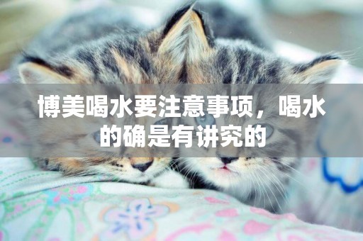 博美喝水要注意事項，喝水的確是有講究的