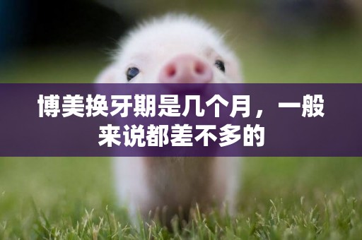 博美換牙期是幾個月，一般來說都差不多的
