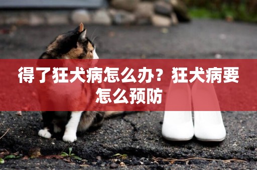 得了狂犬病怎么辦？狂犬病要怎么預防