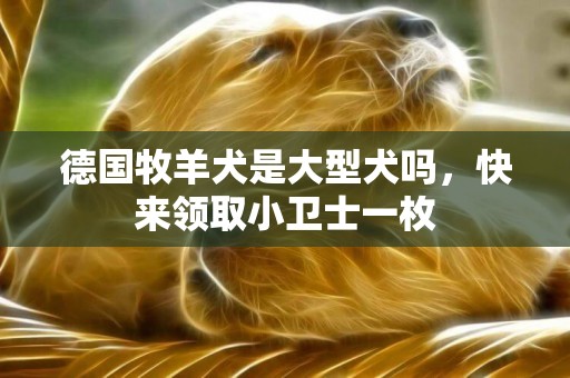 德國牧羊犬是大型犬嗎，快來領取小衛士一枚