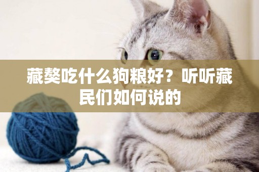 藏獒吃什么狗糧好？聽聽藏民們如何說的